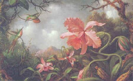 Martin Johnson Heade Hummingbirds and Two Varieties of Orchids Spain oil painting art